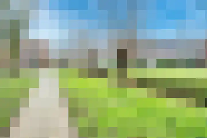 Kalksteen 1 Houten thumbnail 52