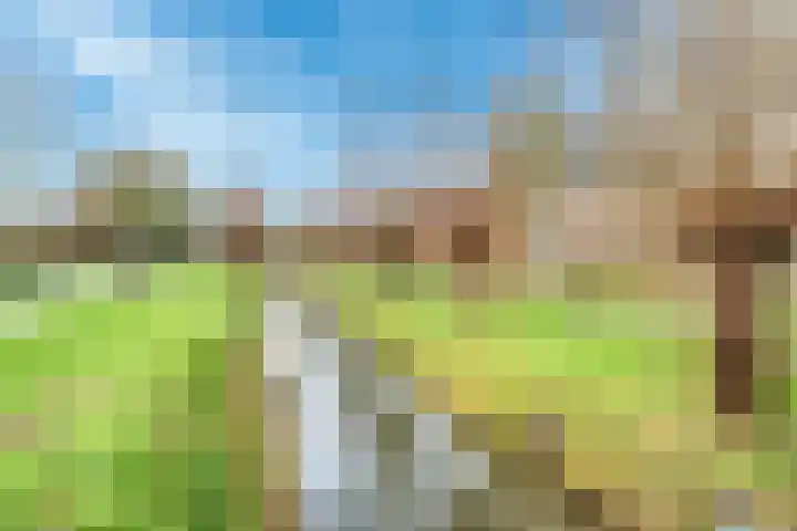 Kalksteen 1 Houten thumbnail 53