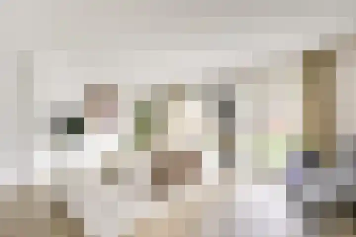 Kalksteen 1 Houten thumbnail 8