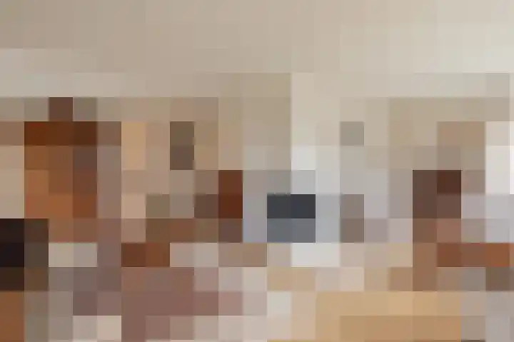 Kalkwark 1 Emmer-Compascuum thumbnail 10