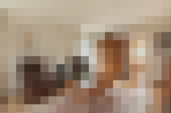 Kalkwark 1 Emmer-Compascuum thumbnail 14