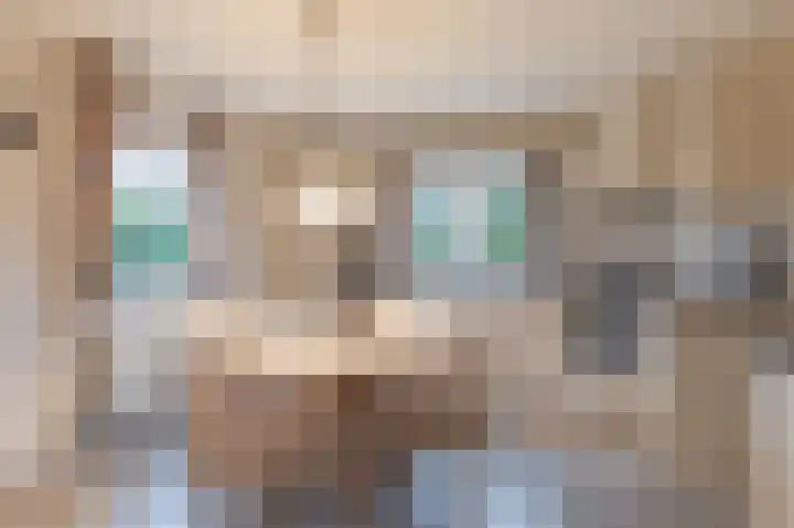 Kalkwark 1 Emmer-Compascuum thumbnail 15