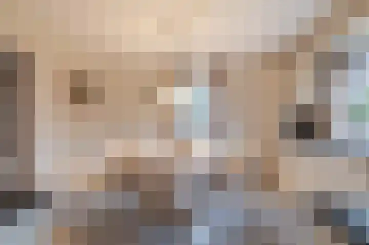 Kalkwark 1 Emmer-Compascuum thumbnail 16