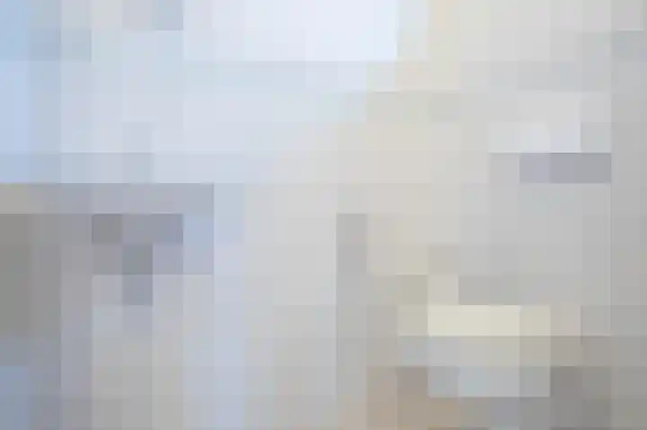 Kalkwark 1 Emmer-Compascuum thumbnail 19