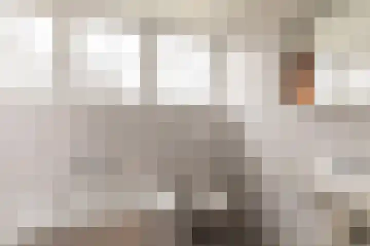 Kalkwark 1 Emmer-Compascuum thumbnail 28