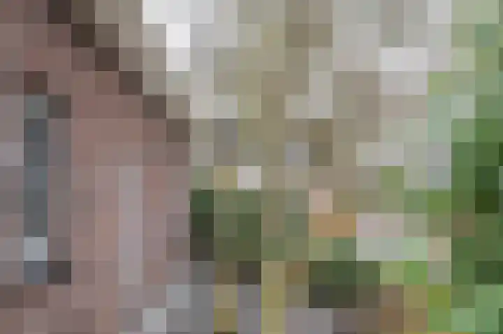 Kalkwark 1 Emmer-Compascuum thumbnail 35