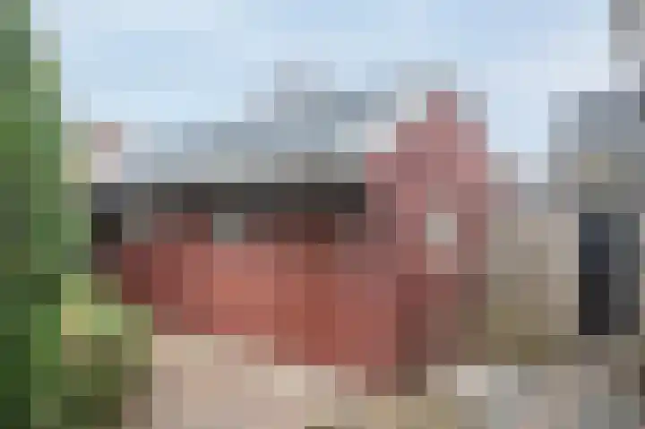 Kalkwark 1 Emmer-Compascuum thumbnail 38