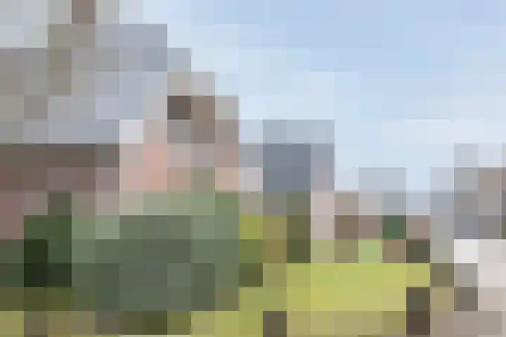 Kalkwark 1 Emmer-Compascuum thumbnail 4