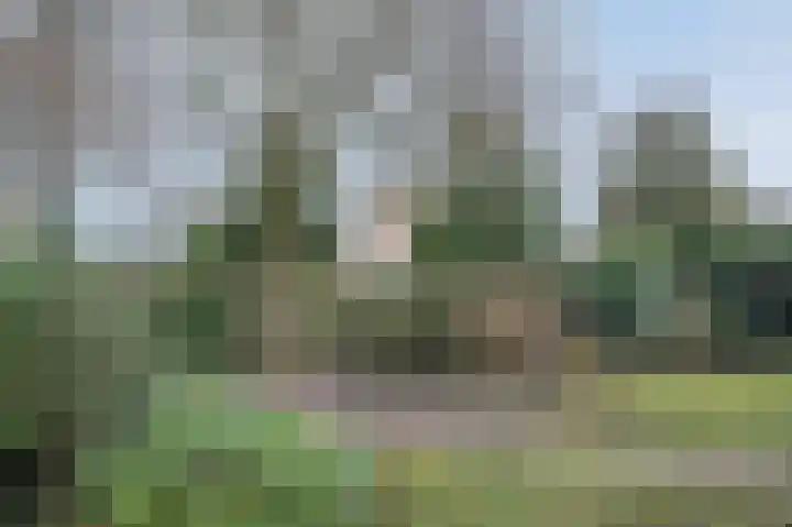 Kalkwark 1 Emmer-Compascuum thumbnail 40