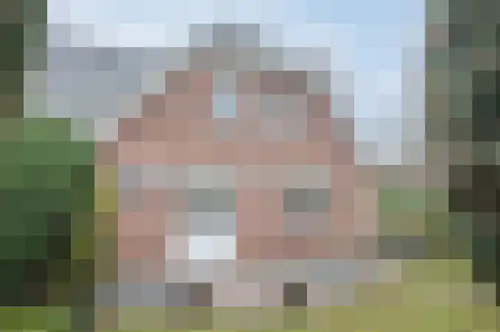 Kalkwark 1 Emmer-Compascuum thumbnail 41