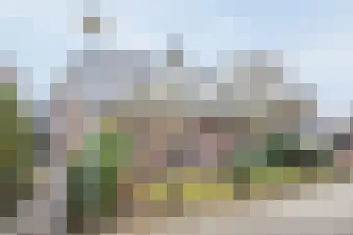 Kalkwark 1 Emmer-Compascuum thumbnail 42