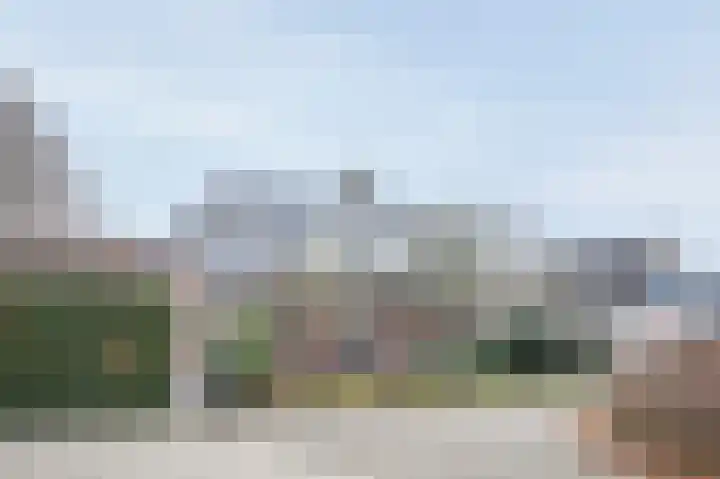 Kalkwark 1 Emmer-Compascuum thumbnail 43