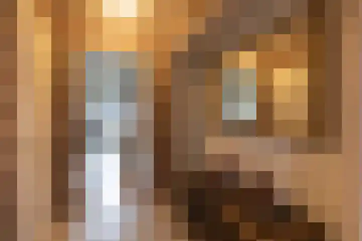 Kalkwark 1 Emmer-Compascuum thumbnail 7
