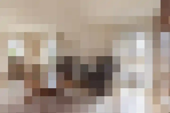 Kalkwark 1 Emmer-Compascuum thumbnail 8