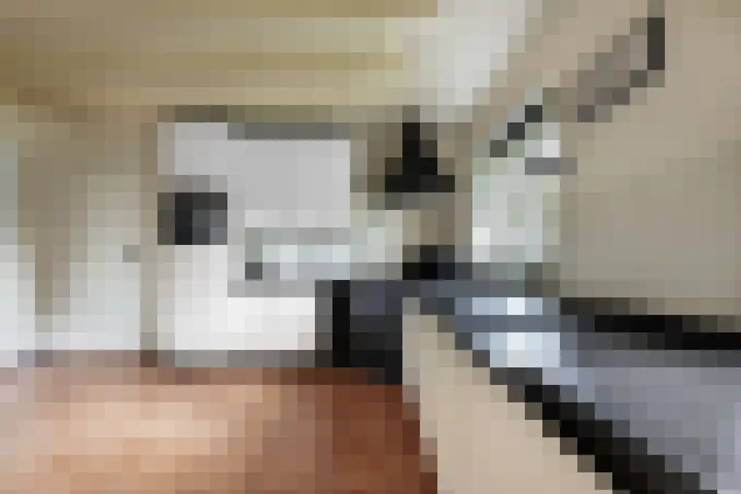 Kalkwijk 109 Hoogezand thumbnail 28