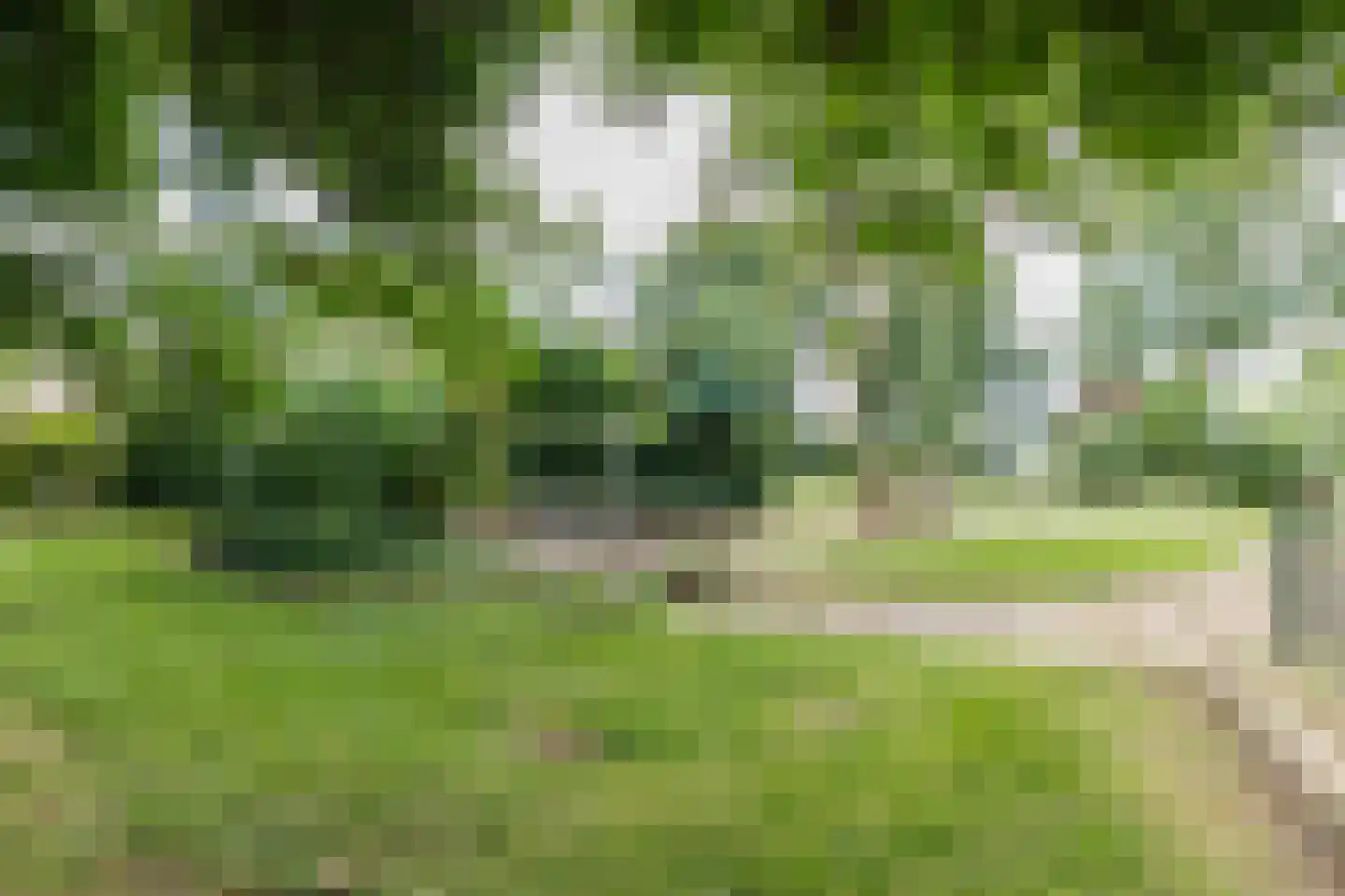 Kalkwijk 109 Hoogezand thumbnail 65