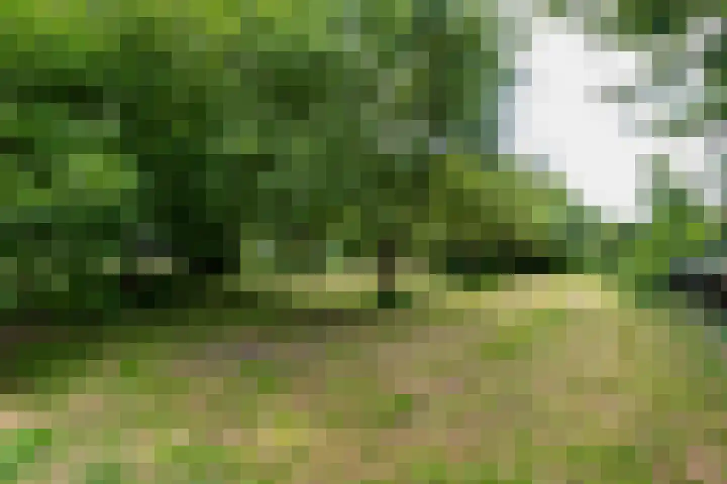 Kalkwijk 109 Hoogezand thumbnail 68