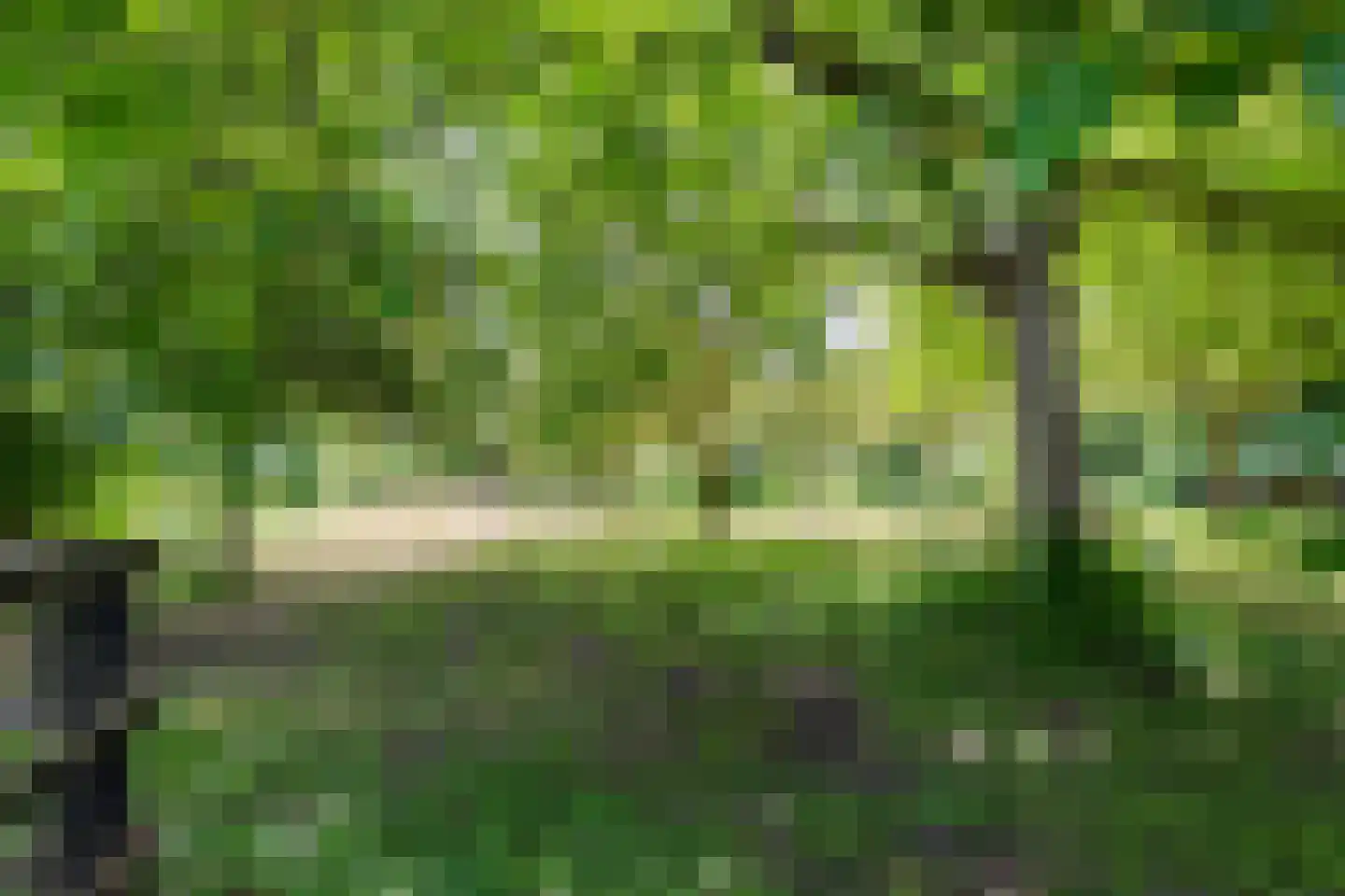 Kalkwijk 109 Hoogezand thumbnail 69