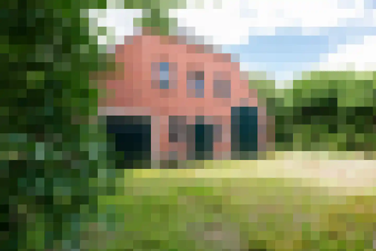 Kalkwijk 109 Hoogezand thumbnail 70