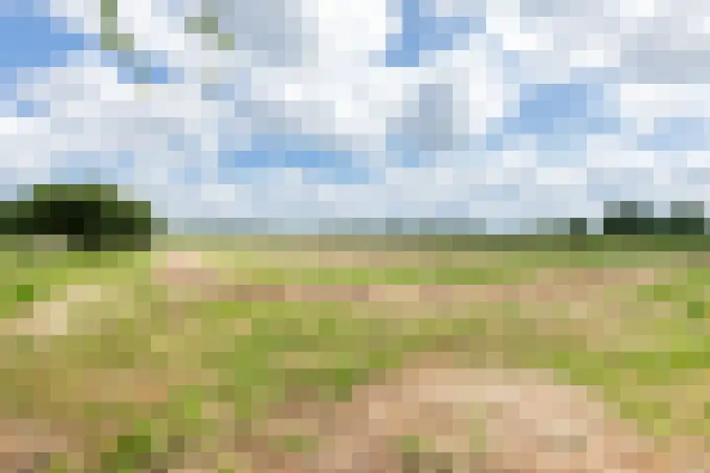 Kalkwijk 109 Hoogezand thumbnail 77