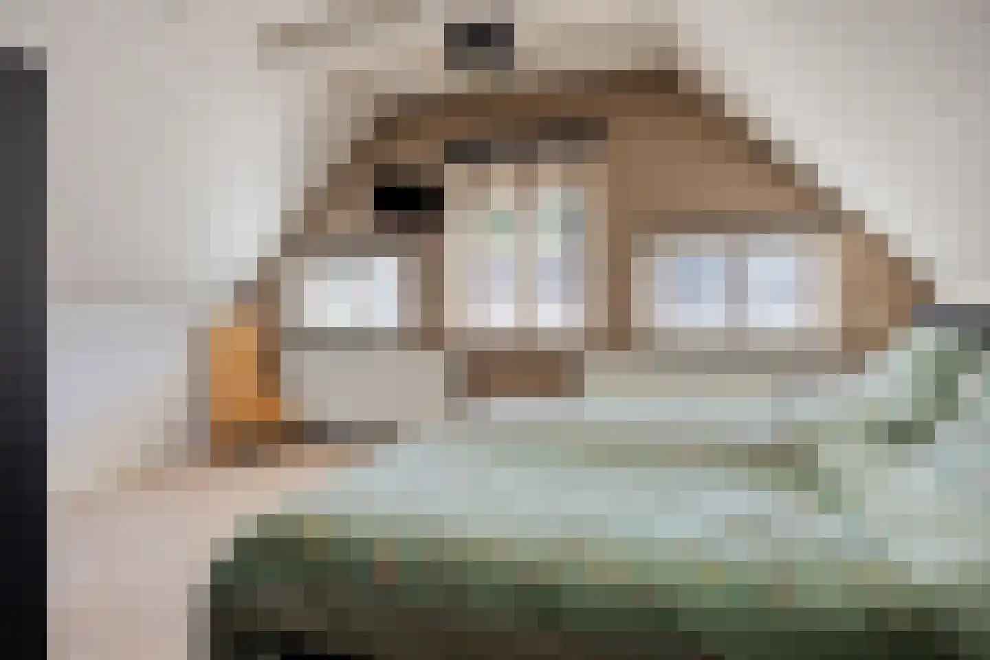 Kalkwijk 11 De Krim thumbnail 24