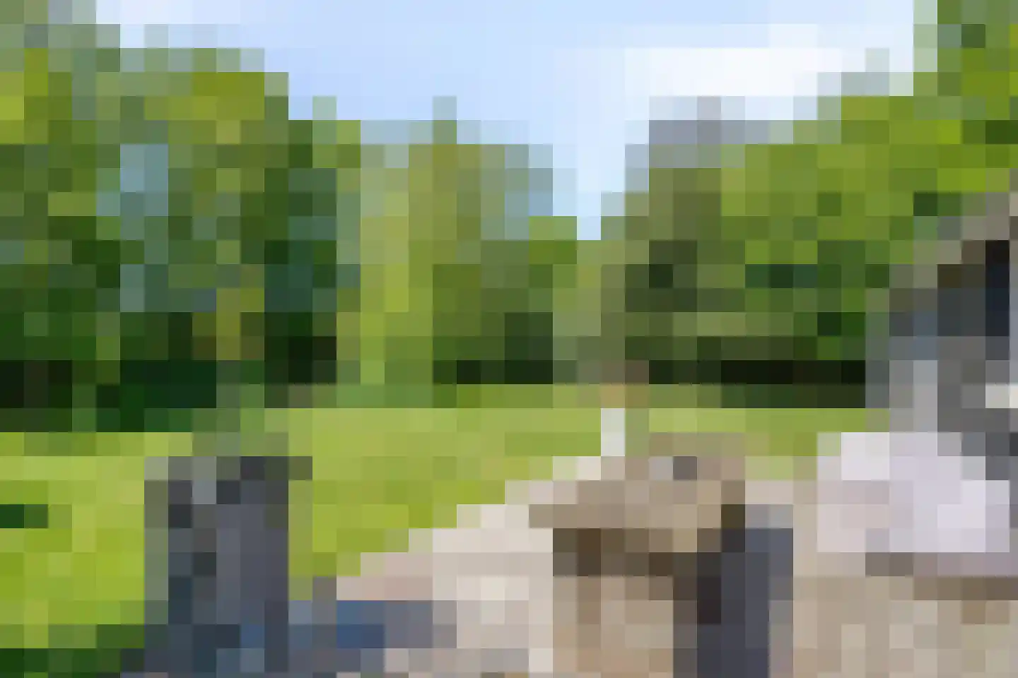Kalkwijk 11 De Krim thumbnail 30
