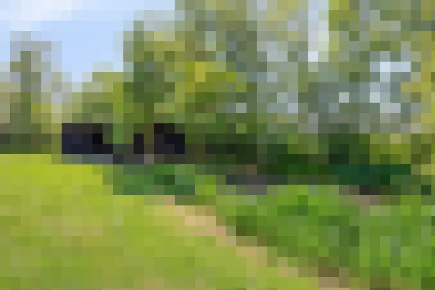 Kalkwijk 11 De Krim thumbnail 31