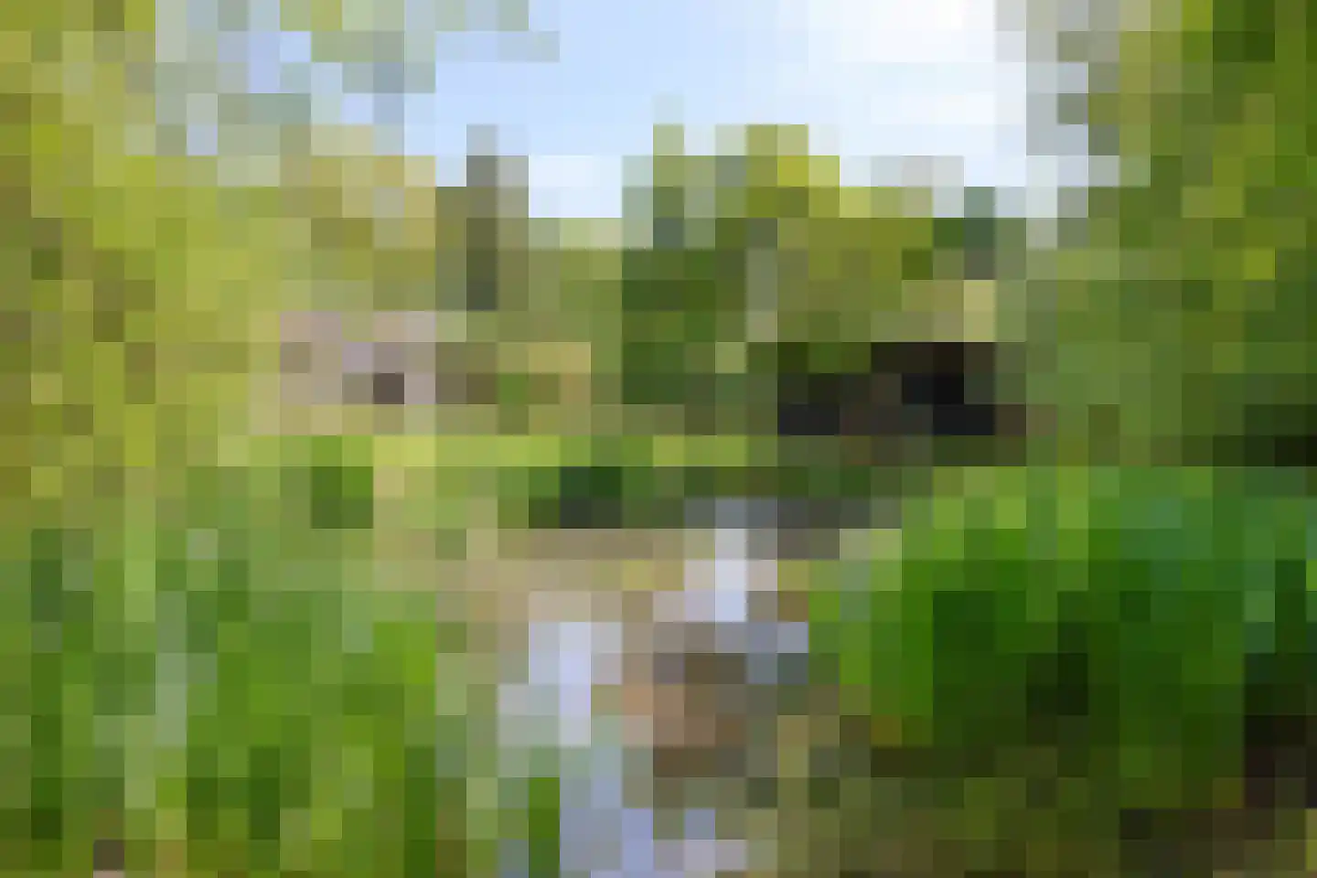 Kalkwijk 11 De Krim thumbnail 32