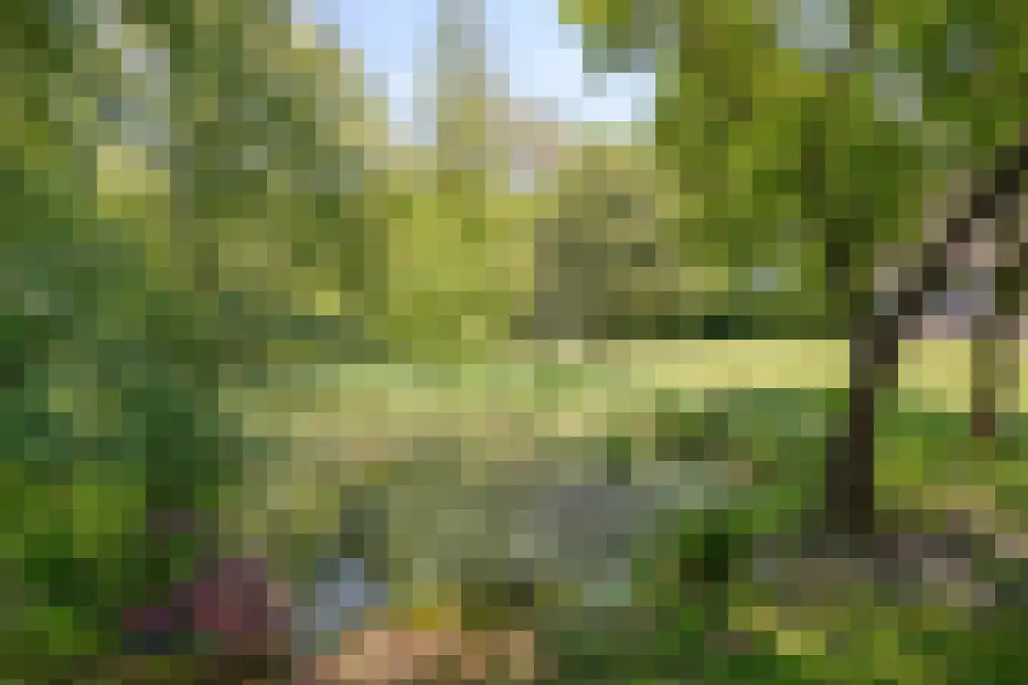 Kalkwijk 11 De Krim thumbnail 33