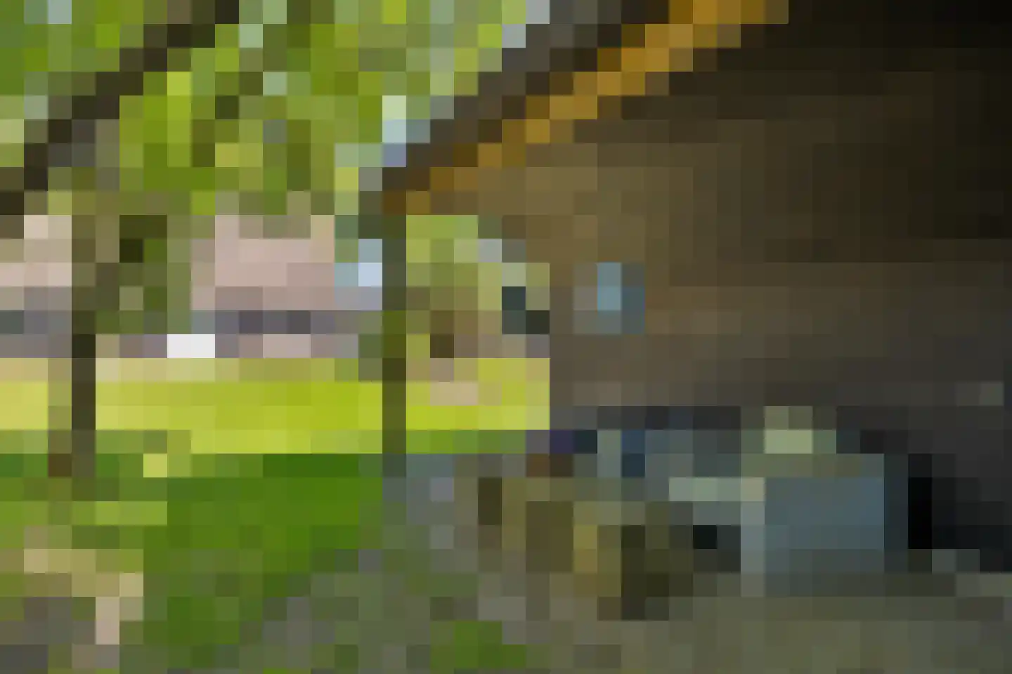 Kalkwijk 11 De Krim thumbnail 34