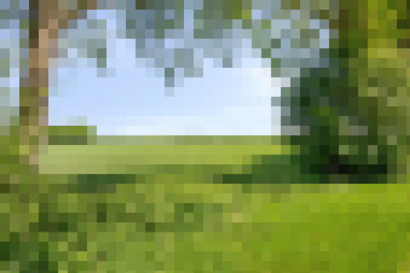 Kalkwijk 11 De Krim thumbnail 39