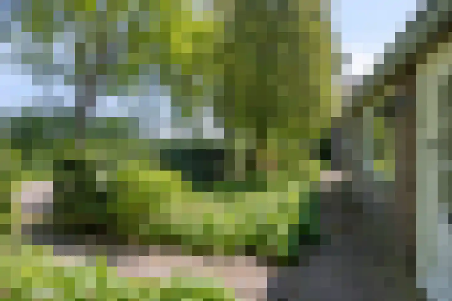 Kalkwijk 11 De Krim thumbnail 47
