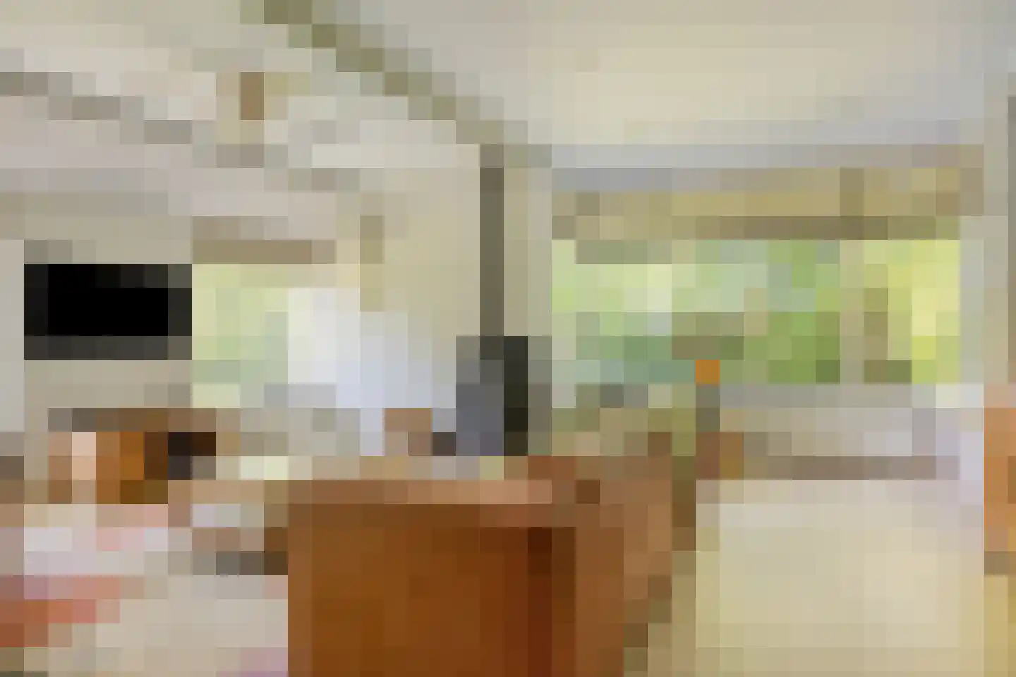 Kalkwijk 11 De Krim thumbnail 5