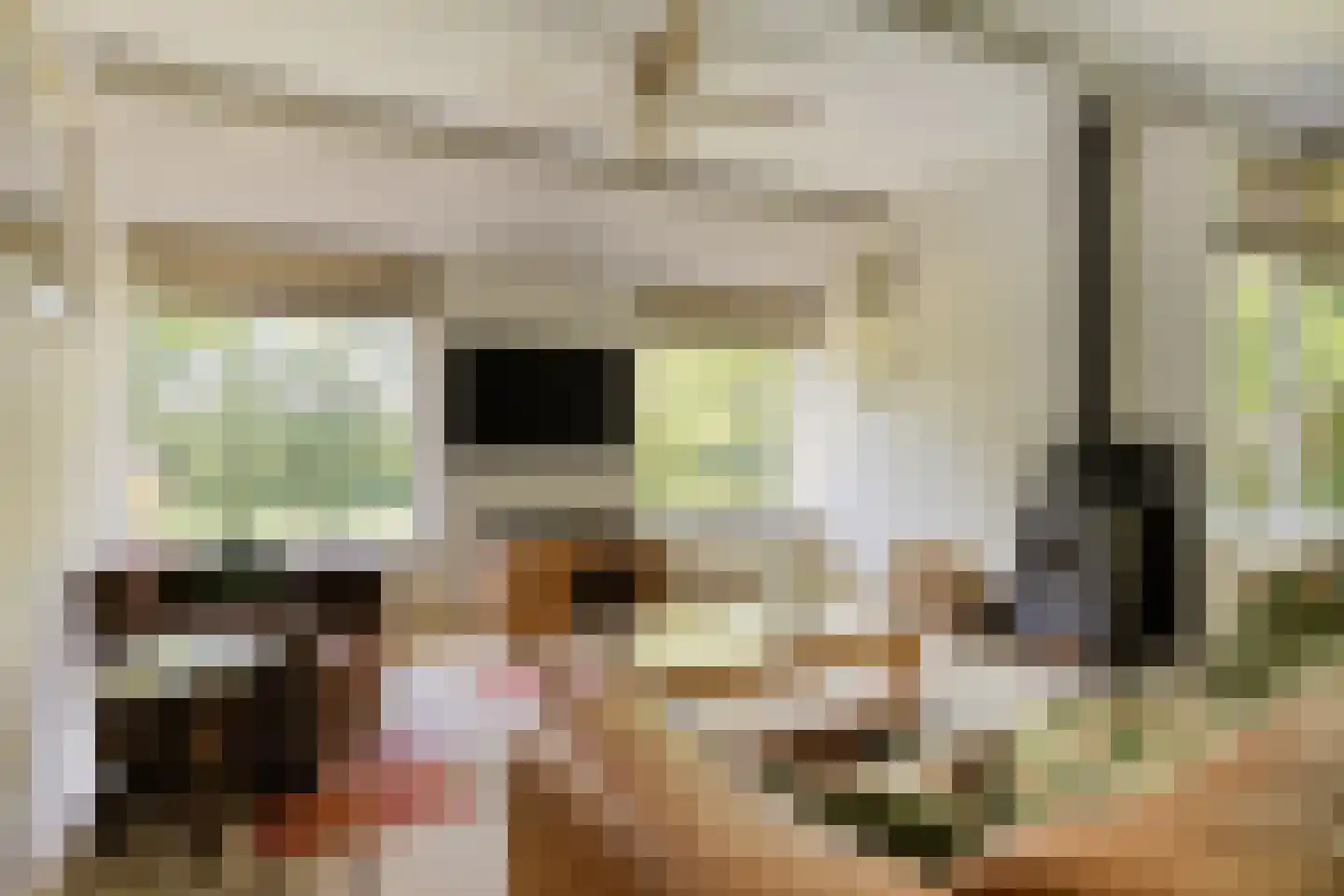 Kalkwijk 11 De Krim thumbnail 6