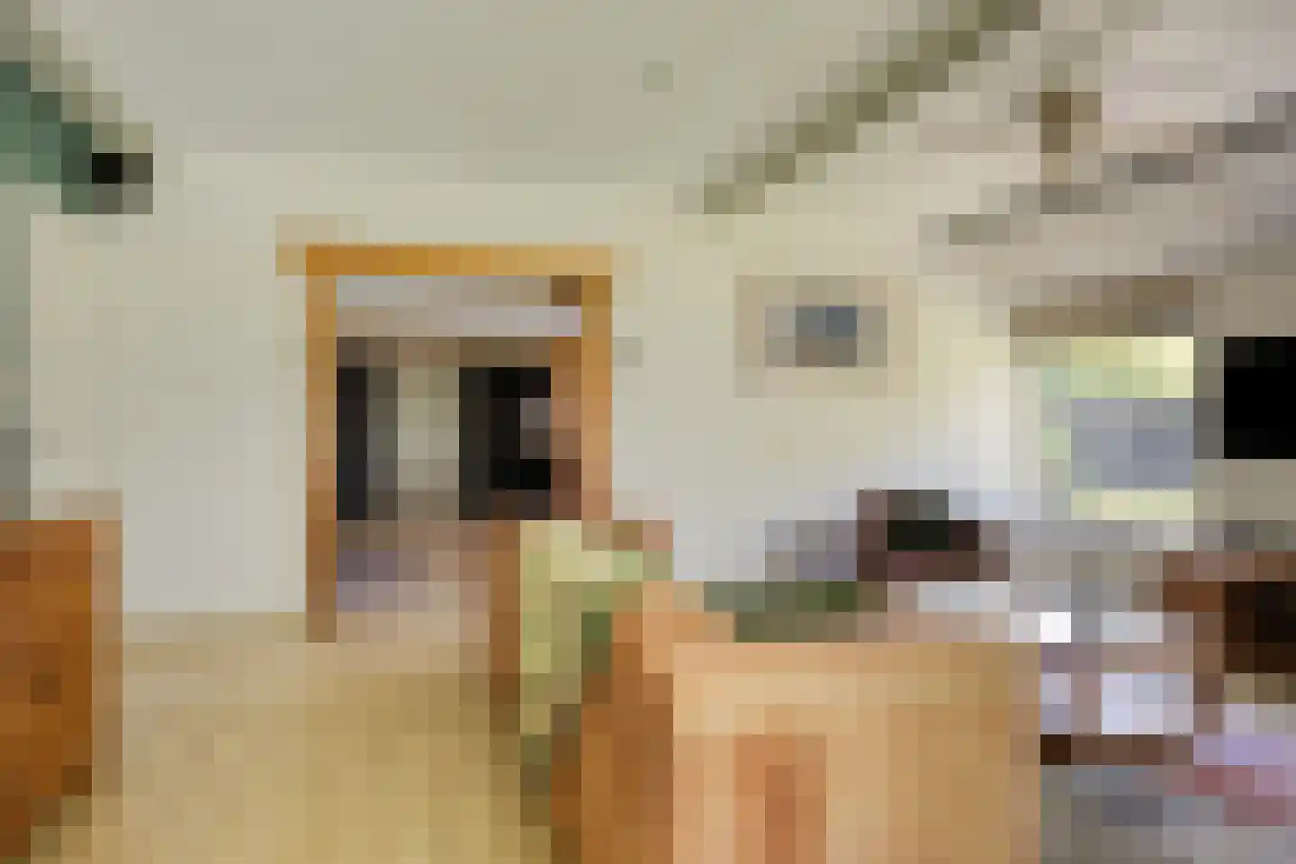 Kalkwijk 11 De Krim thumbnail 7