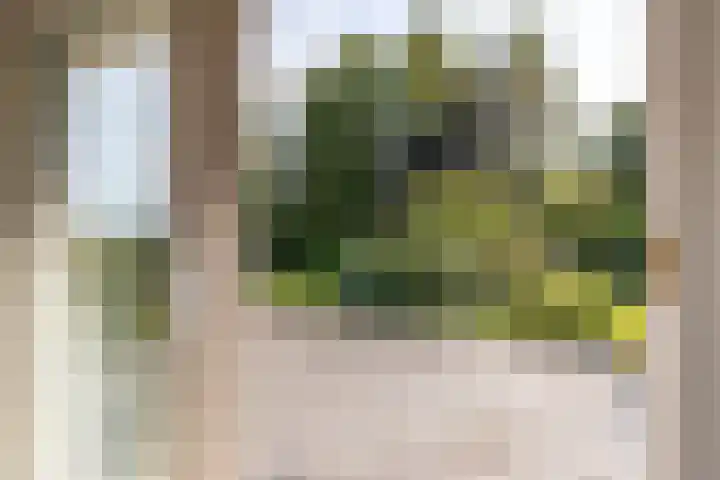 Kalkwijk 127 a Hoogezand thumbnail 16