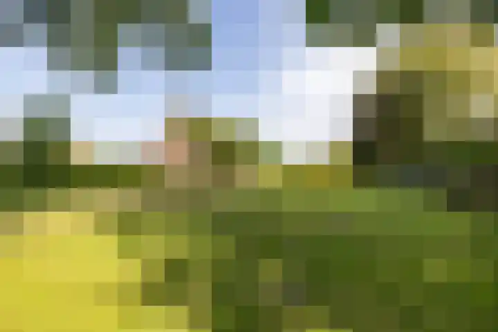 Kalkwijk 127 a Hoogezand thumbnail 5