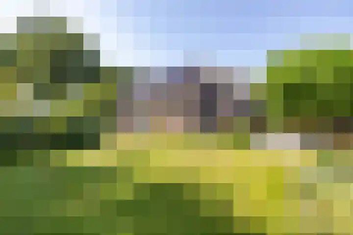Kalkwijk 127 a Hoogezand thumbnail 56