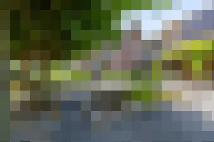Kalkwijk 127 a Hoogezand thumbnail 62