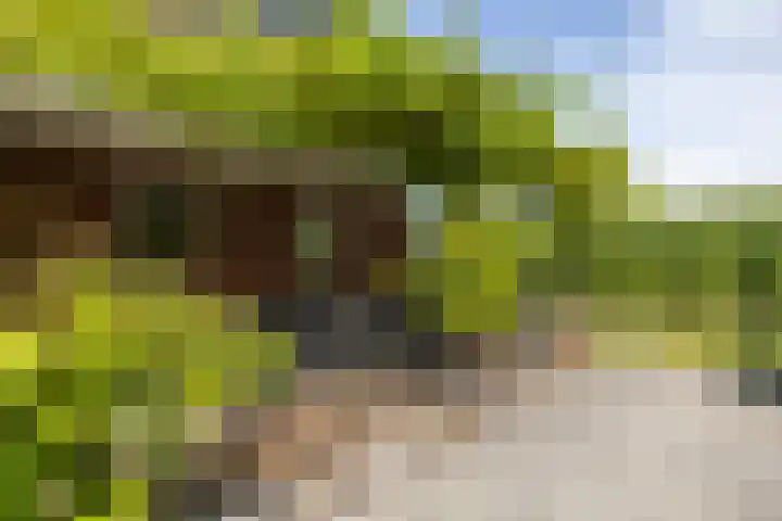 Kalkwijk 127 a Hoogezand thumbnail 63