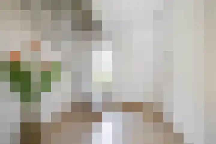 Kalkwijk 127 a Hoogezand thumbnail 8