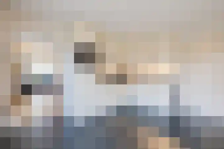 Kalkwijk 14 Daarlerveen thumbnail 10