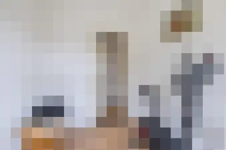 Kalkwijk 14 Daarlerveen thumbnail 19