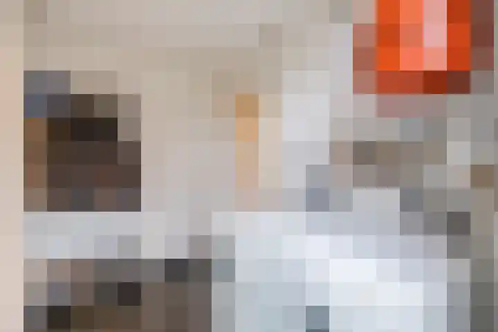 Kalkwijk 14 Daarlerveen thumbnail 27