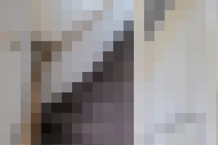 Kalkwijk 14 Daarlerveen thumbnail 29