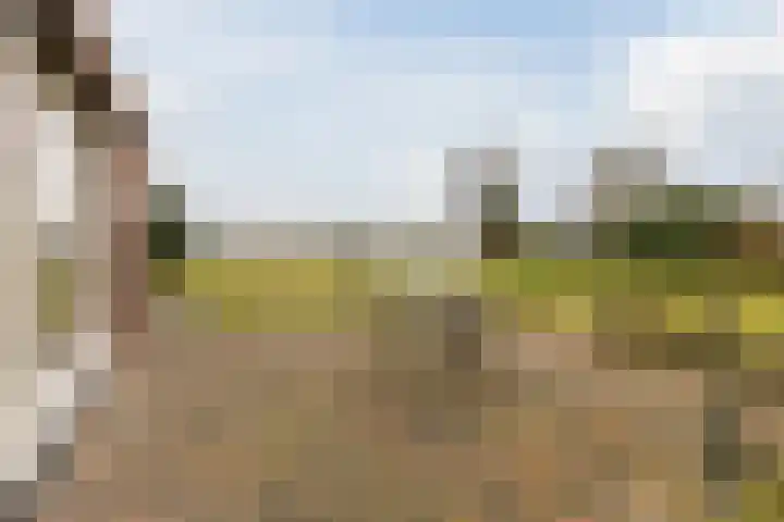 Kalkwijk 14 Daarlerveen thumbnail 42