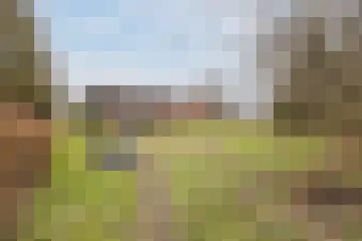 Kalkwijk 14 Daarlerveen thumbnail 45