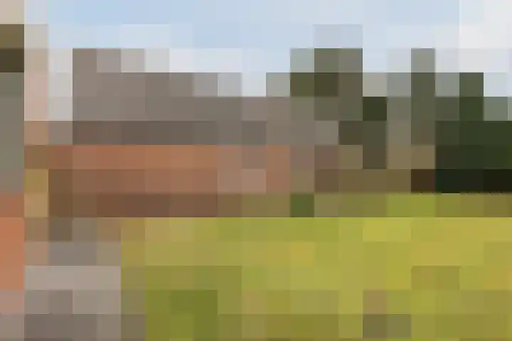 Kalkwijk 14 Daarlerveen thumbnail 46