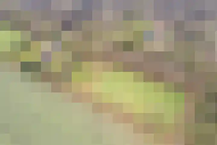 Kalkwijk 14 Daarlerveen thumbnail 48