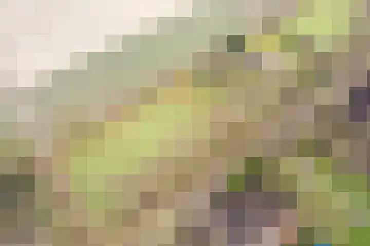 Kalkwijk 14 Daarlerveen thumbnail 49